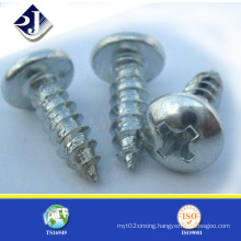 Made in China Tapping Screw